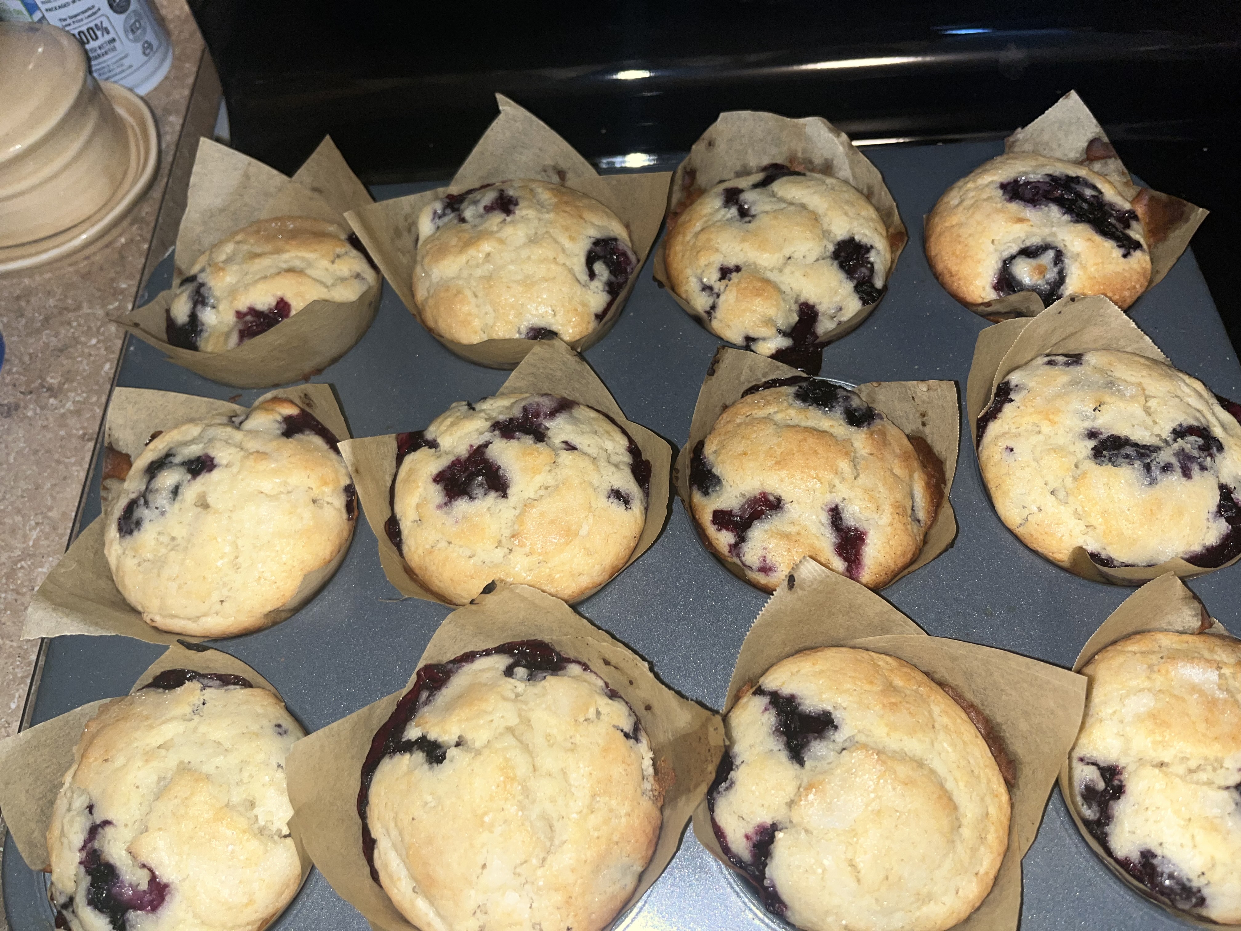 Blueberry Muffins