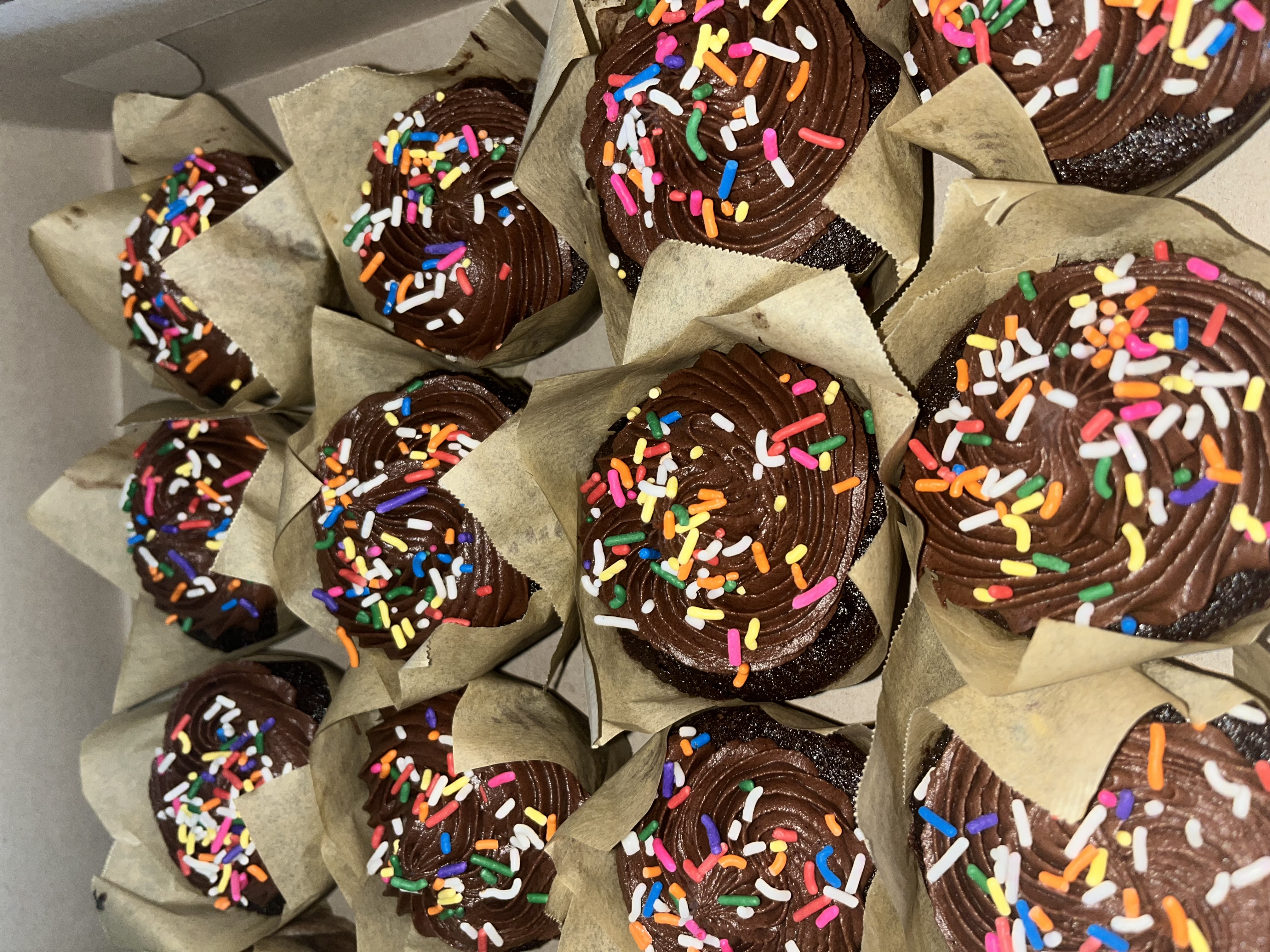 Chocolate Cupcakes with Sprinkles